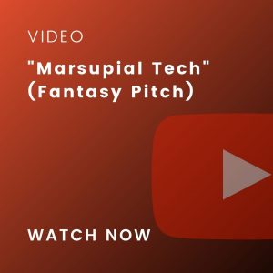 fantasy pitching video
